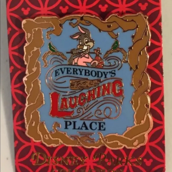 Disney splash mountain pin - Picture 1 of 2